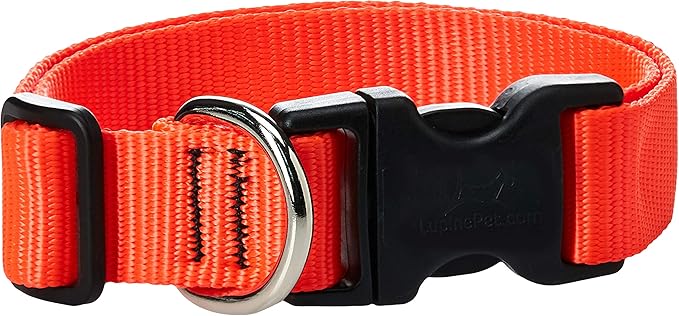 LupinePet Basics 1" Blaze Orange 16-28" Adjustable Collar for Large Dogs
