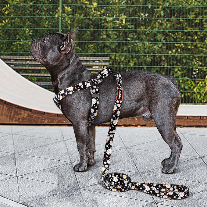 QQPETS Dog Harness Leash Set Adjustable Heavy Duty No Pull Halter Harnesses for Small Medium Large Breed Dogs Back Clip Anti-Twist Perfect for Walking (S(14"-20" Chest Girth), White Daisy)