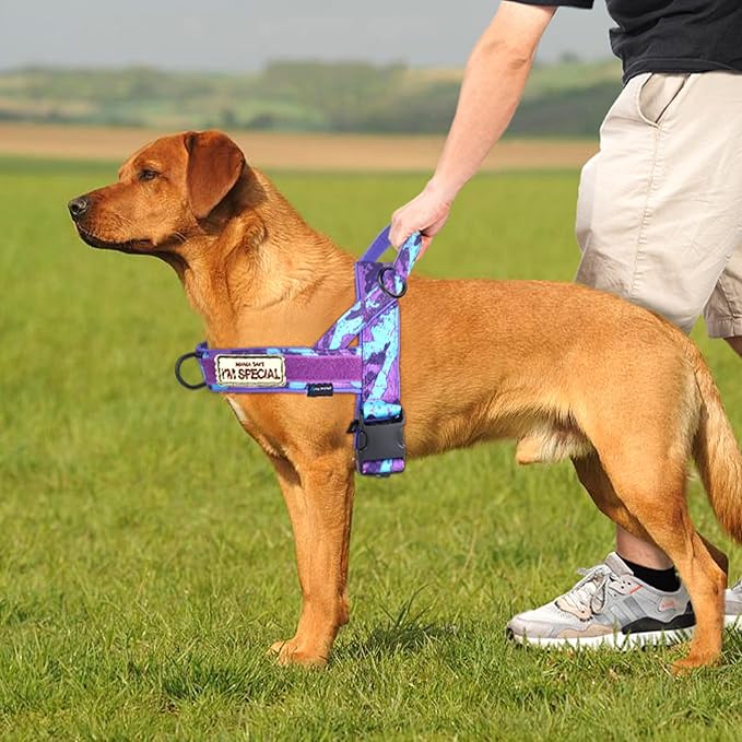 Annchwool No Pull Dog Harness with Soft Padded Handle,Escape Proof and Quick Fit to Adjust Dog Harness,Easy for Training Walking for Small & Medium and Large Dog(Camo Purple,S)