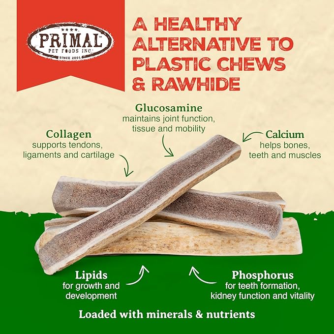 Primal Antlers for Dogs - Grade A Split Stag Antlers for Large Dogs 45-60 lb - Natural Dog Chews for Aggressive Chewers - Naturally Shed Antlers - Long Lasting Dog Bones - 1 ct