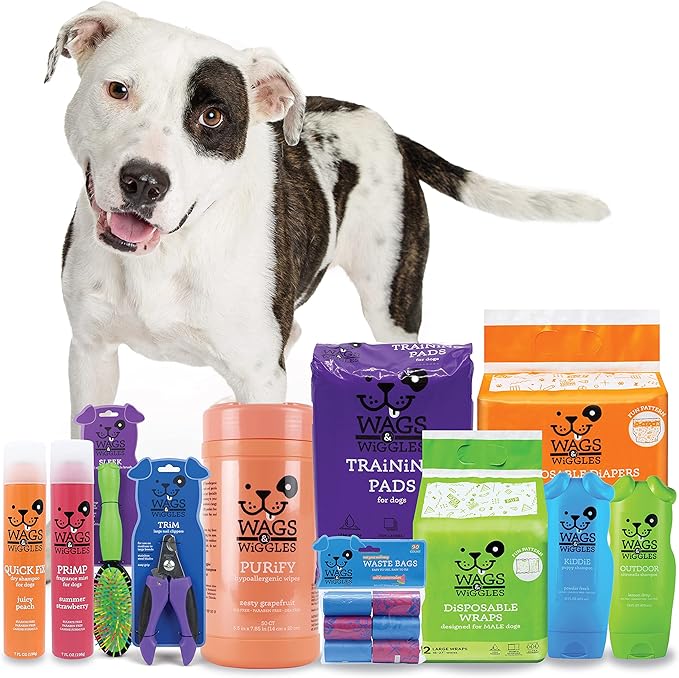 Wags & Wiggles Very Berry Polish Multipurpose Dog Wipes, Count of 100