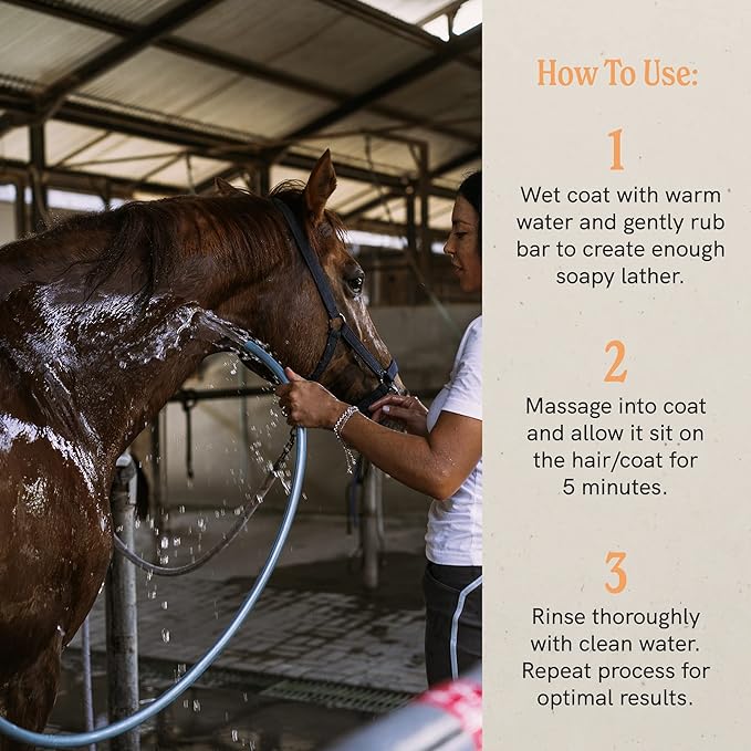 J·R·LIGGETT'S Botanical Horse Solid Bar Shampoo for Sensitive Dry Skin | Antibacterial | Hypoallergenic Biodegradable | 100% Eco-Friendly Natural Ingredients | Detergent-Free | 3.5oz.