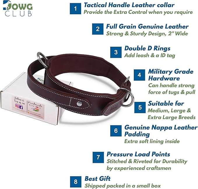 Leather Dog Collar with Handle, 2 Inch Wide Saddle Grade Cherry Leather Dog Collar for Medium Dogs | Heavy Duty, Comfortable, Inner Soft Padded | (M (Fit Neck Size 14.5"-18.5"), Cherry)