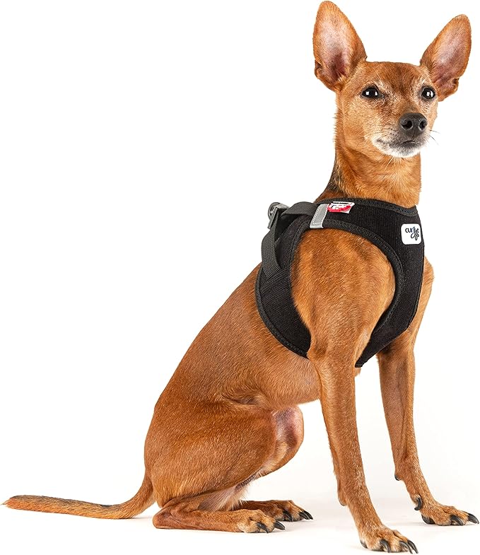 Vest Harness curli Clasp Cord Black M