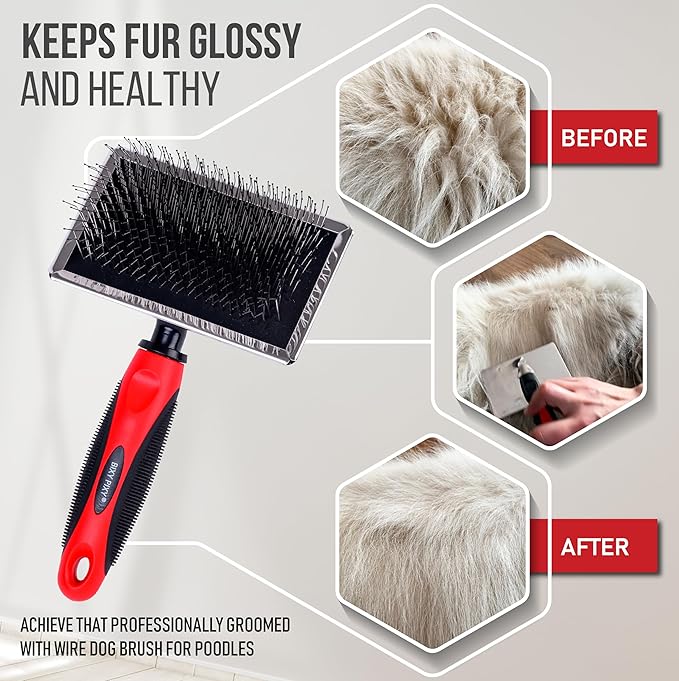 Dog Slicker Brush - Large - Protective Ball Tipped Pins Massages Pet Skin - Professional Groomer Dog Brush for Goldendoodle (Large)