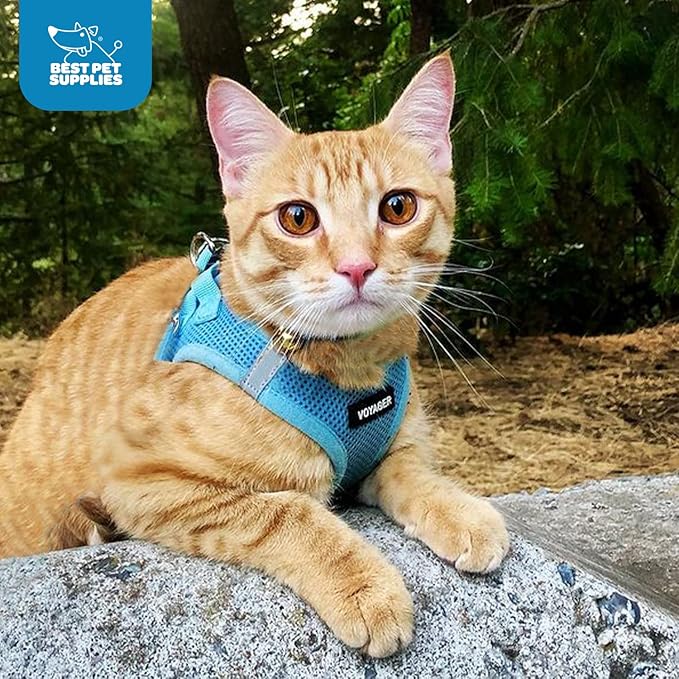 Voyager Step-in Air Dog Harness - All Weather Mesh, Reflective, No Pull Harness for Small, Medium Dogs, Cats - Secure with Hook & Loop Fastener, Buckle, Double D-Rings - Baby Blue, S