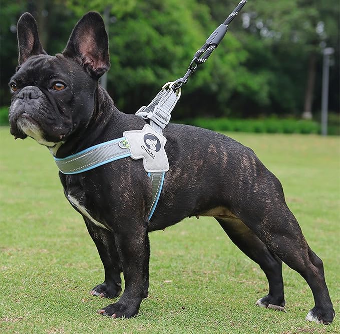 Dog Harness Y-Shaped Harness Breathable Heat Dissipation Easy to Wear Night Reflective Signs for Small and Large Dogs to Wear (Blue,L Bust 22in-26in)