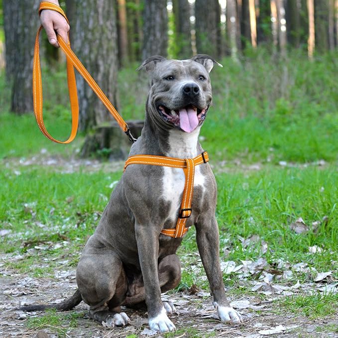 CollarDirect Reflective Dog Harness Step in Small Medium Large for Outdoor Walking, Comfort Adjustable Harnesses for Dogs Puppy Pink Black Red Purple Mint Green Orange Blue (Medium, Blue)