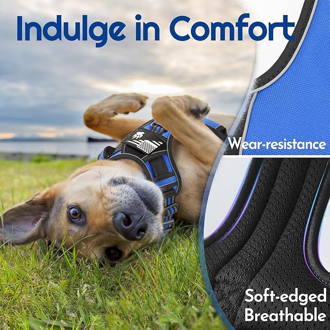 Eagloo Dog Harness Medium Sized, Easy Wearing with 3 Buckles, Adjustable No Pull Pet Harness with 2 Rings for Walking, No Chock Reflective Soft Padded Vest with Control Handle, Blue & Black, M