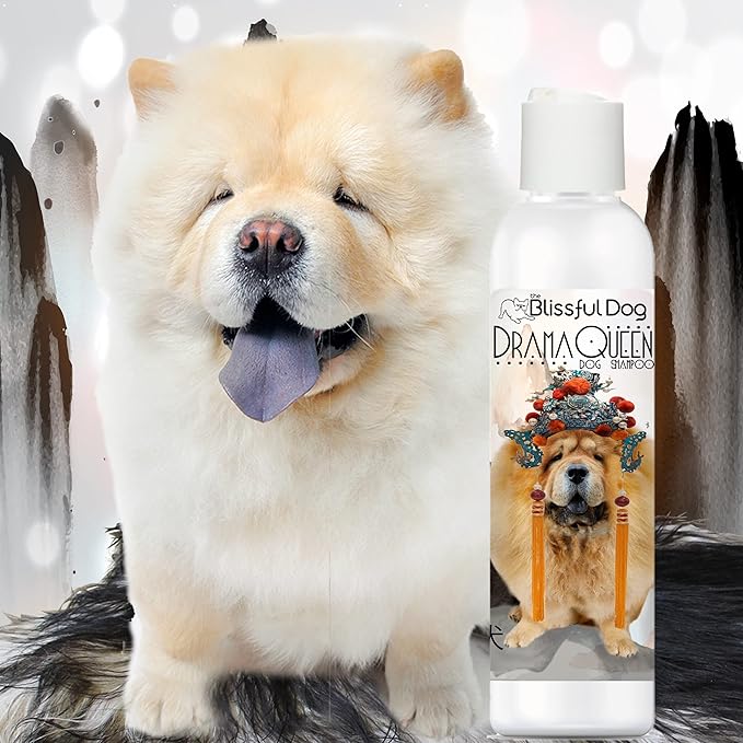 The Blissful Dog Chow Drama Queen Dog Shampoo, 4 oz.