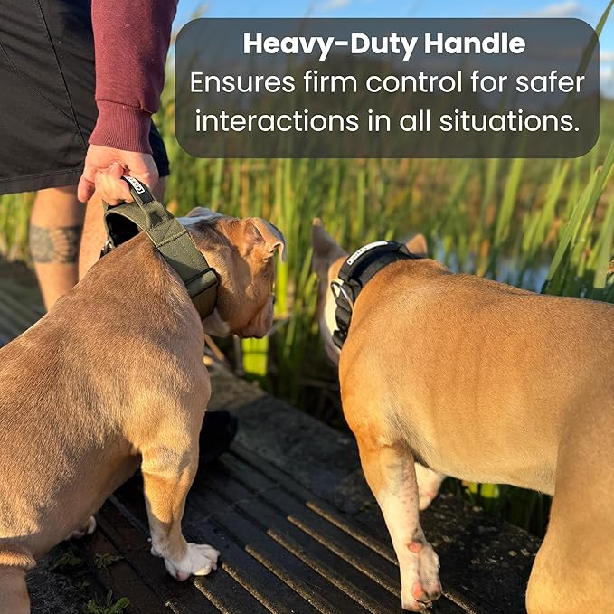 BULLYBREED Premium Dog Colar with Handle, Heavy Duty Dog Collar, Tactical Dog Collar, Quick-Release Metal Buckle, Thick Dog Collar, Dog Collar for Medium Dogs, Dog Collar for Large Dogs (Brown, M)