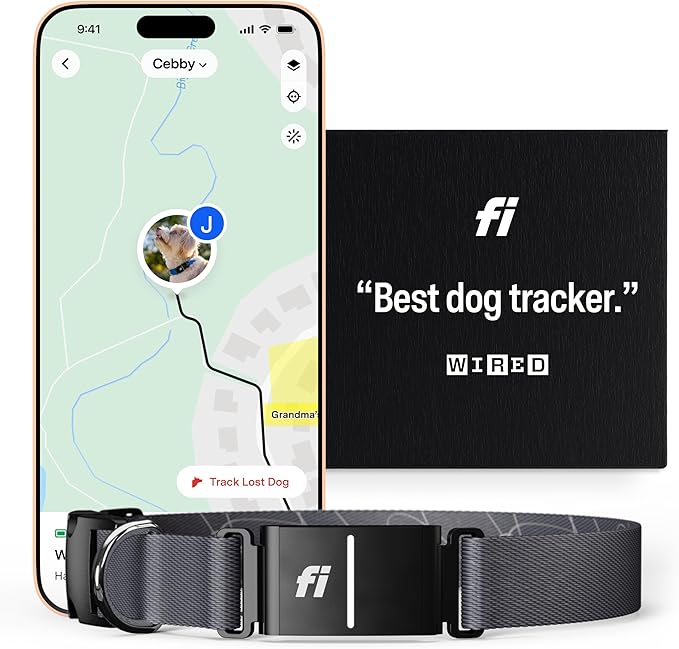 Fi Series 3 Smart Dog Collar - GPS Dog Tracker and Activity & Fitness Monitor, Waterproof, LED Light, Escape Alerts, Nationwide Coverage [Free 6 Month Membership] (Gray, Large)