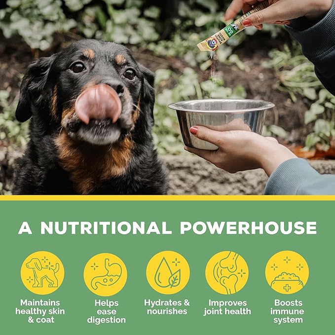 Brutus Bone Broth for Dogs - Bone Broth Powder with Chondroitin Glucosamine & Turmeric - Human Grade Dog Food Toppers for Dry Food & Picky Eaters - 10 Stick (Chicken)