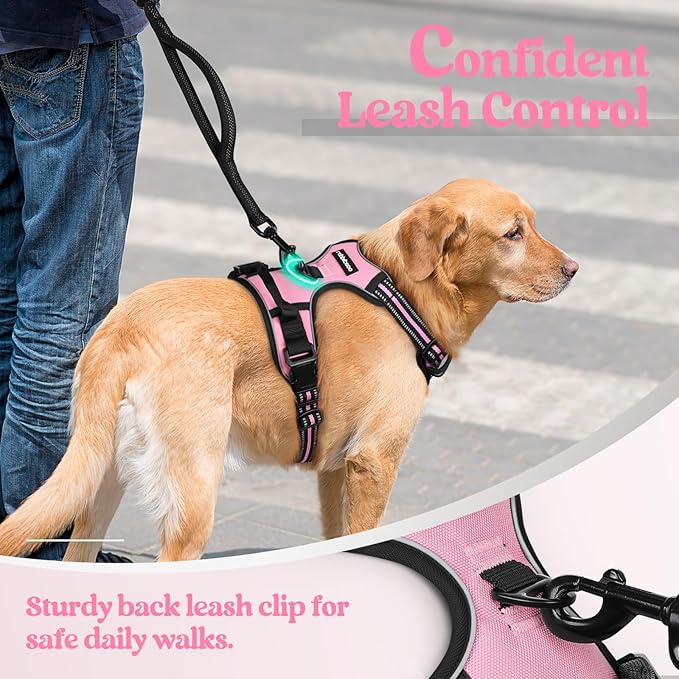 rabbitgoo No-Pull Pet Harness with 2 Leash Clips, Adjustable Soft Padded, Reflective No-Choke Pet Oxford Vest with Easy Control Handle for Large Dogs, Pink, L