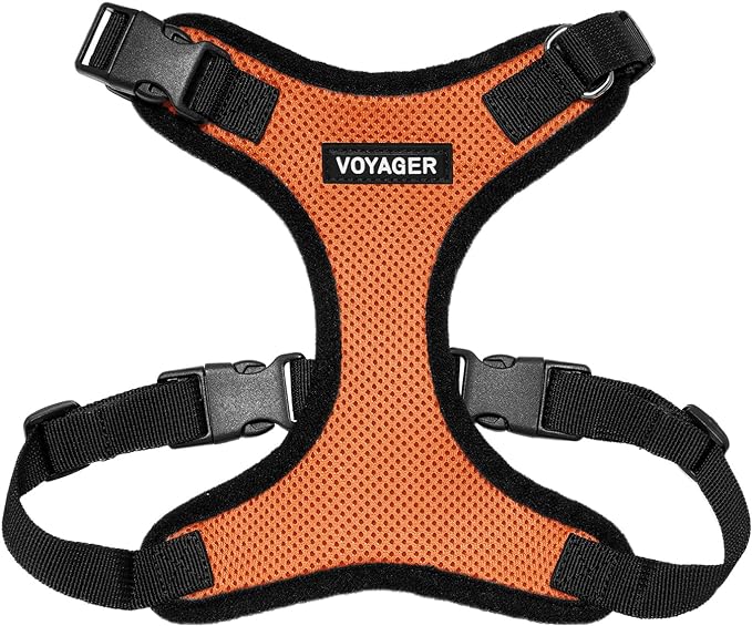 Voyager Step-in Lock Pet Harness - All Weather Mesh, Adjustable Step in Harness for Cats and Dogs by Best Pet Supplies - Orange/Black Trim, S