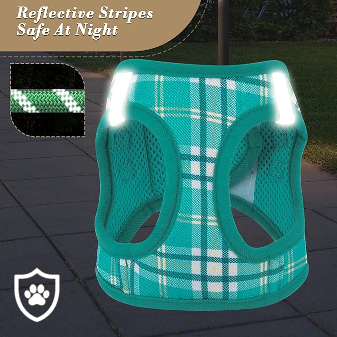 Athena Collection Small Dog Harness with 5 ft Leash, Step-in Dog Harness Leash Set Small No Pull Dog Vest Harness with Reflective Strips Adjustable Velcro, Easy Walk Puppy Harness, Green