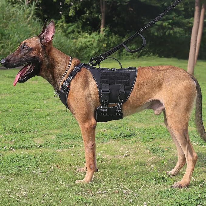 ICEFANG GN7 Agile-Moving Reflective Tactical Dog Harness with Handle,Walking Training K9 Molle Vest,No-Pull Front Clip,5-Points Adjust,Hook and Loop Panel (M Chest:25"-31"), Black