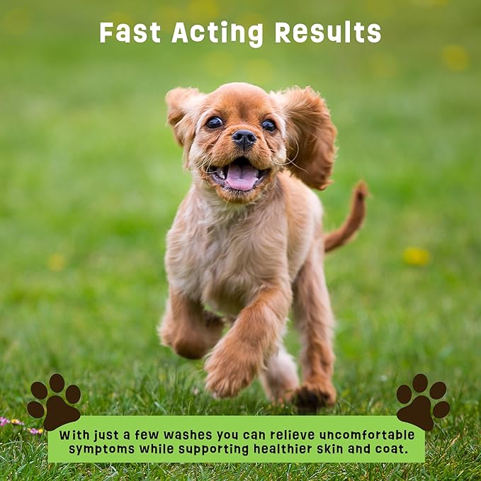 Dogs Plus Vitamin C Dog Shampoo | All Natural Dermatitis, Demodex Mange, & Hot Spot Treatment for Dogs | Fast and Effective Itch Relief (6 oz)