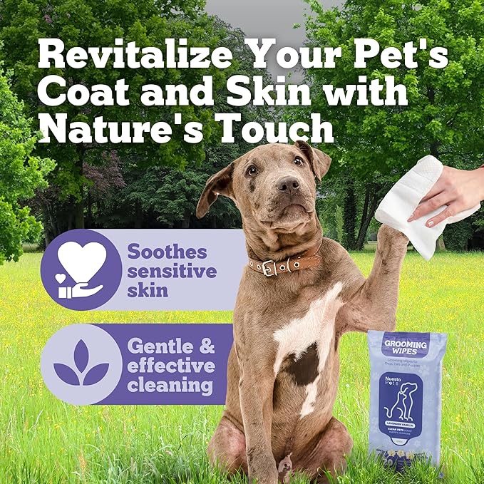 Pets XL Lavender Vanilla Pet Wipes-Deodorizing No Bath Cleaning for Dogs & Puppy Grooming | Ear, Face, Butt, Paw Wet Wipe | Enriched w/Aloe, Chamomile, Oat Amino Acids | Healthier Coat & Skin