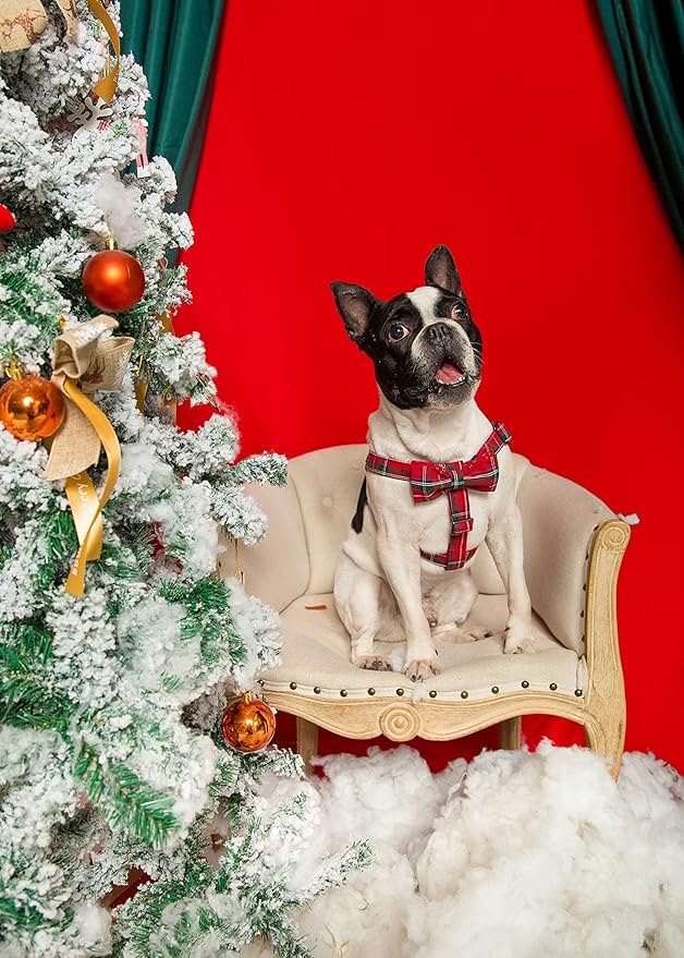 Unique style paws Dog Harness Adjustable Harnesses Durable Hardware with Comfortable Bowtie for Small Medium Large Dogs