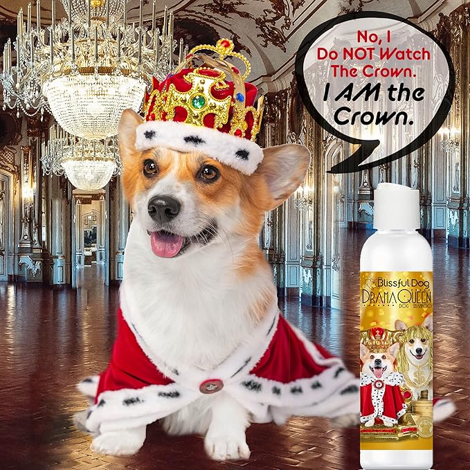 The Blissful Dog Corgi Drama Queen Dog Shampoo, 8 oz.