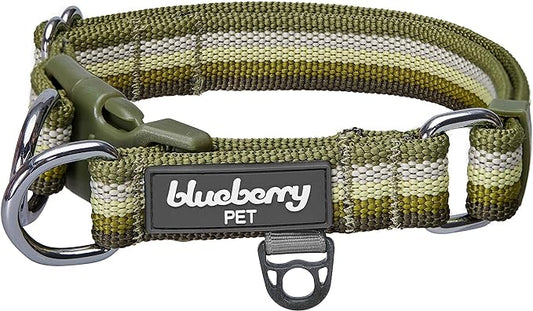 Blueberry Pet 3M Reflective Dog Collars | Adjustable Dog Collar w/Multi-Colored Stripe - Olive | Nylon Pet Collars for Dogs & Refflective Dog Collar for X-Large Dogs