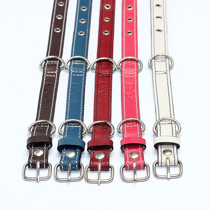 Premium Leather Collars with Stainless Steel Buckles (9"-12", White)
