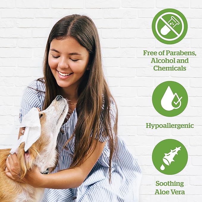 Pogi's Grooming Wipes Home & Travel Bundle - 100-Count Grooming Wipes for Home and 240-Count Packs for Travel