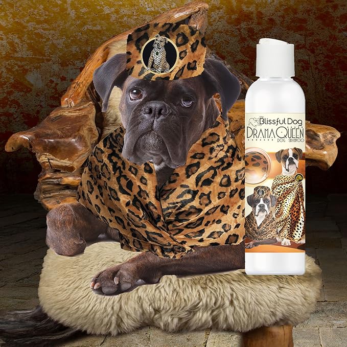The Blissful Dog Boxer Drama Queen Dog Shampoo, 16 oz.