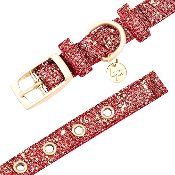 Blueberry Pet 4 Colors Glam Life Gold Stamping Lace Adjustable Dog Collar in True Red, Neck 13-16.5", for Medium Breed