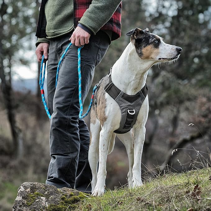 Kurgo Journey Air Dog Harness, Vest Harnesses for Dogs, Pet Hiking Harness for Running & Walking, Reflective, Padded, Includes Control Handle, No Pull Front Clip (Black, Medium)