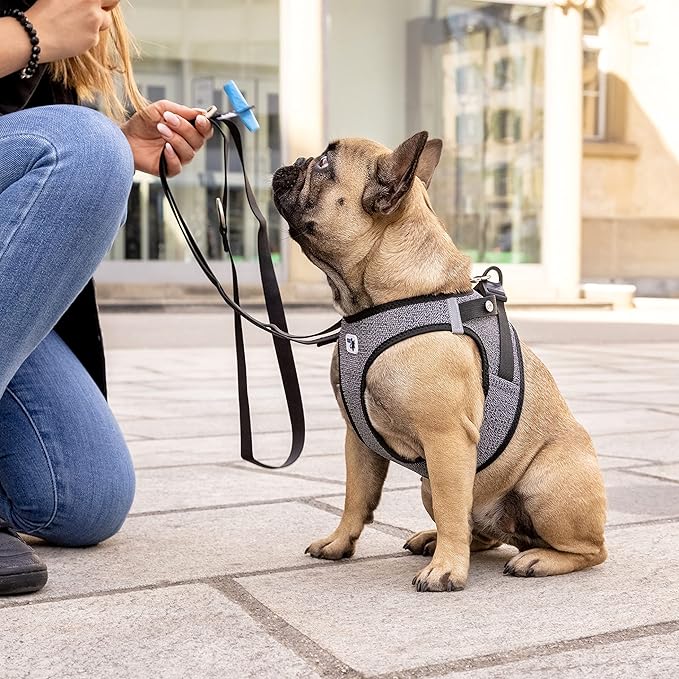 Vest Harness Merino curli Clasp Red L