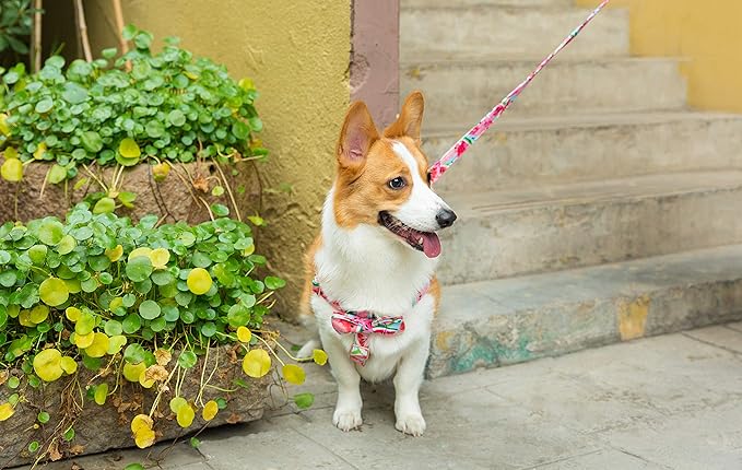 Unique style paws Dog Harness Adjustable Harnesses Durable Hardware with Comfortable Bowtie for Small Medium Large Dogs