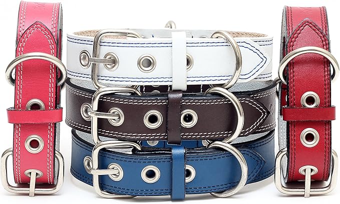 Premium Leather Collars with Stainless Steel Buckles (21"-24", Chocolate)