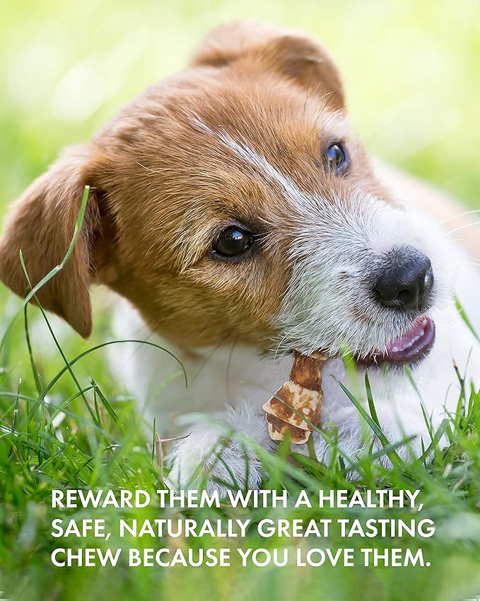 Canine Naturals Natural Peanut Butter Chew, Mini Knot - 12 Pack - 100% Rawhide Free and Collagen Free Dog Treats - Made with Real Peanut Butter - All-Natural and Easily Digestible