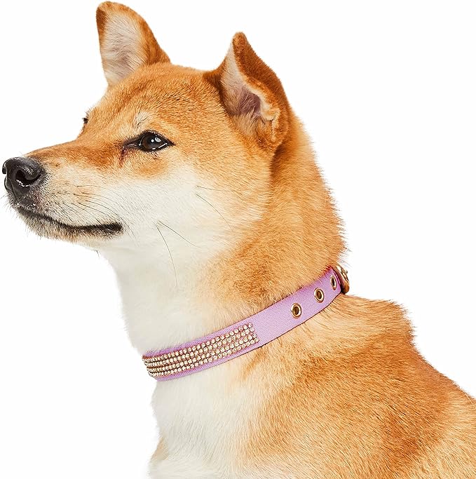 Blueberry Pet Sparkling Rhinestone Adjustable Dog Collar with Metal Buckle, Lavender, Neck 17-20.5", for Large Breed