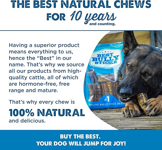 Best Bully Sticks Premium 12 Inch Beef Trachea Dog Chews (12 Pack) - All-Natural, Grain-Free, 100% Beef, Single-Ingredient Dog Treat Chew - Promotes Dental Health