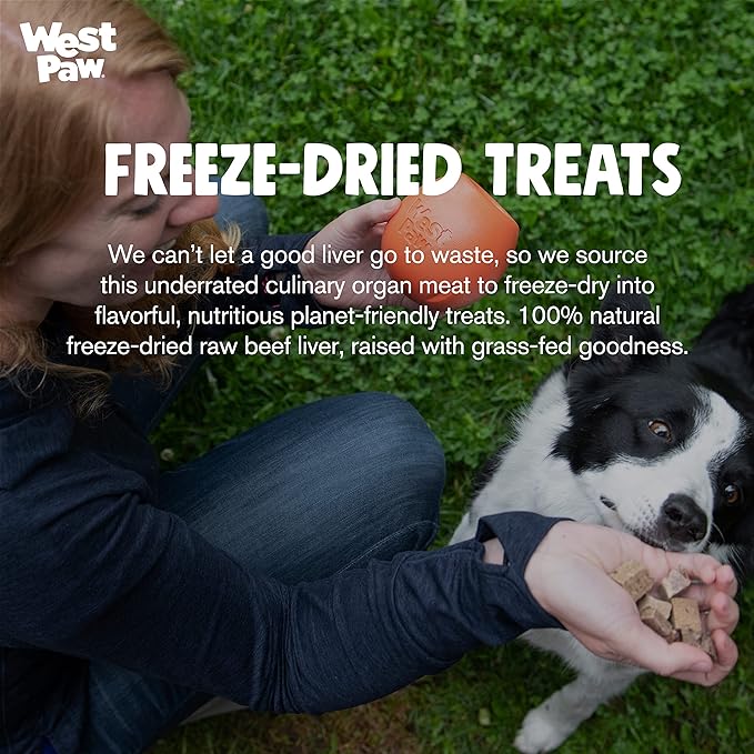 WEST PAW Freeze-Dried Raw All Natural Dog and Puppy Training Treats, Single Ingredient, Humanely Raised and Sustainably Sourced, Made in USA, Beef Liver, 2 Pack