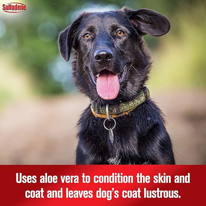 Sulfodene Medicated Shampoo & Conditioner for Dogs 12oz