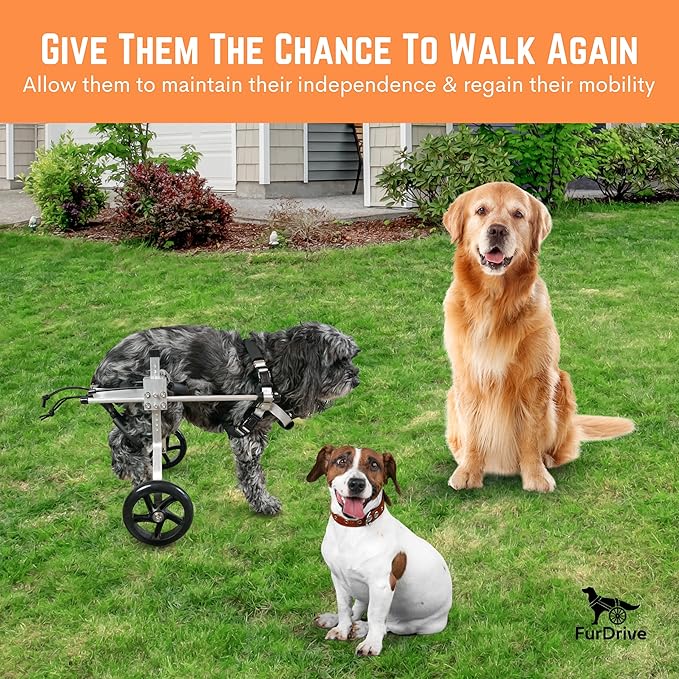 Dog Wheelchair for Back Legs – Small, Medium & Large – Lightweight Aluminum Alloy - Adjustable Wheelchair for Dogs with Disabled Hind Legs – Cat Wheelchair - Dog Carts with Wheels