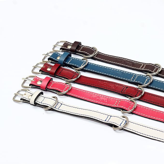 Premium Leather Collars with Stainless Steel Buckles (9"-12", Blue)