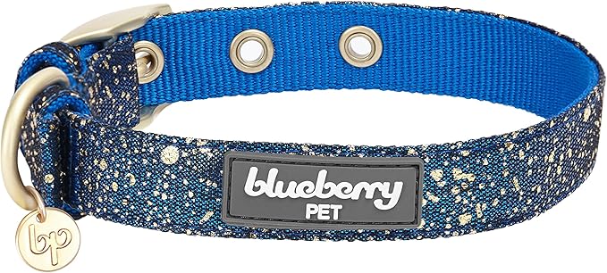 Blueberry Pet 4 Colors Glam Life Gold Stamping Lace Adjustable Dog Collar in Classy Navy, Neck 9-12.5", for Small Breed