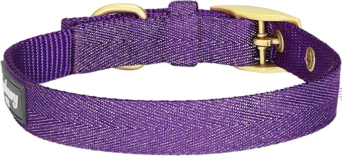 Blueberry Pet 6 Colors The Most Coveted Designer Mixed Metallic Thread Adjustable Dog Collar in Dazzling Tinsel Purple with Metal Buckle, Neck 17-20.5", for Large Breed