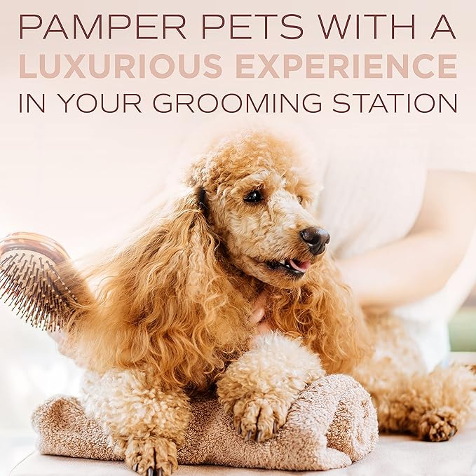 TropiClean SPA Lavish Dog Shampoo | Sporty Scented For Him Deodorizing Dog Shampoo | Naturally Derived Salon Grade Ingredients | Made in the USA | 1 Gallon