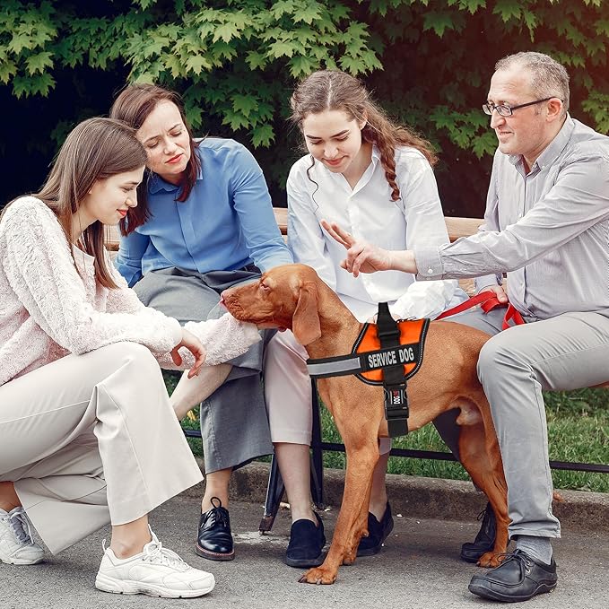 Dogline Unimax Service Dog Harness Vest with Removable Service Dog Patches Adjustable Straps Breathable Neoprene for Medical Identification Training Dogs Girth 36 to 46 in Orange