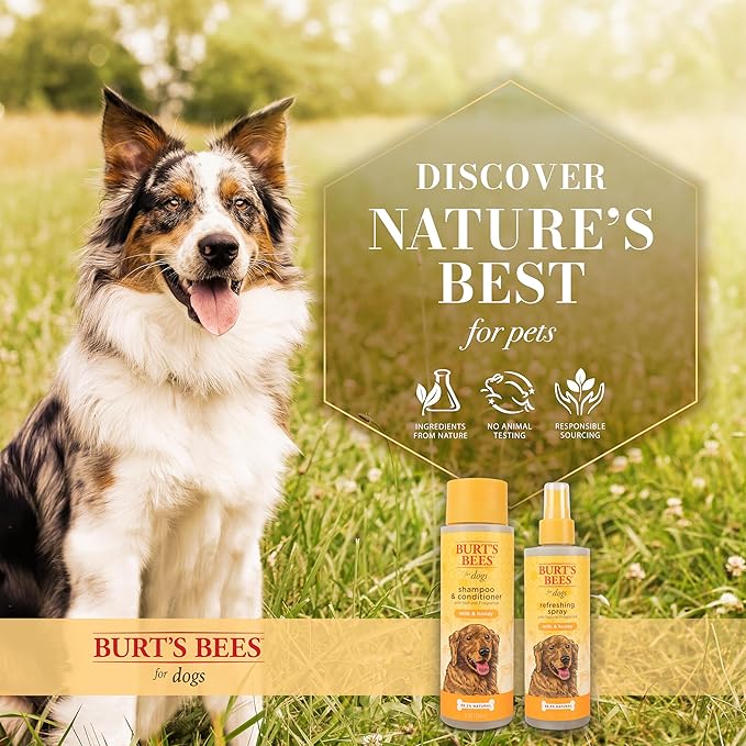 Burt's Bees for Pets Refreshing Spray for Dogs with Milk and Honey, 98.2% Natural Origin Formulas, Waterless Dog Shampoo - Gentle Dry Shampoo for Dogs, Best Dog Shampoo, 8 oz