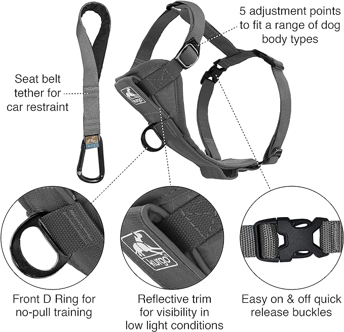 Kurgo Tru-Fit Smart Harness, Dog Harness, Pet Walking Harness, Quick Release Buckles, Front D-Ring for No Pull Training, Includes Dog Seat Belt Tether (Grey, Medium)