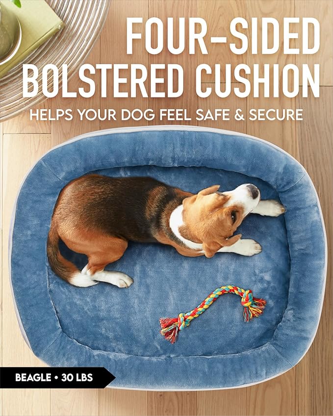 OhGeni Orthopedic Dog Bed for Large Dogs, Dog Couch Design with Egg Foam Support, Removable, Machine Washable Plush Cover and Non-Slip Bottom with Four Sided Bolster Cushion (Washed Blue)