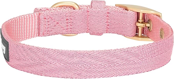 Blueberry Pet 6 Colors The Most Coveted Designer Mixed Metallic Thread Adjustable Dog Collar in Dazzling Tinsel Pink with Metal Buckle, Neck 7.5-10", for Small Breed