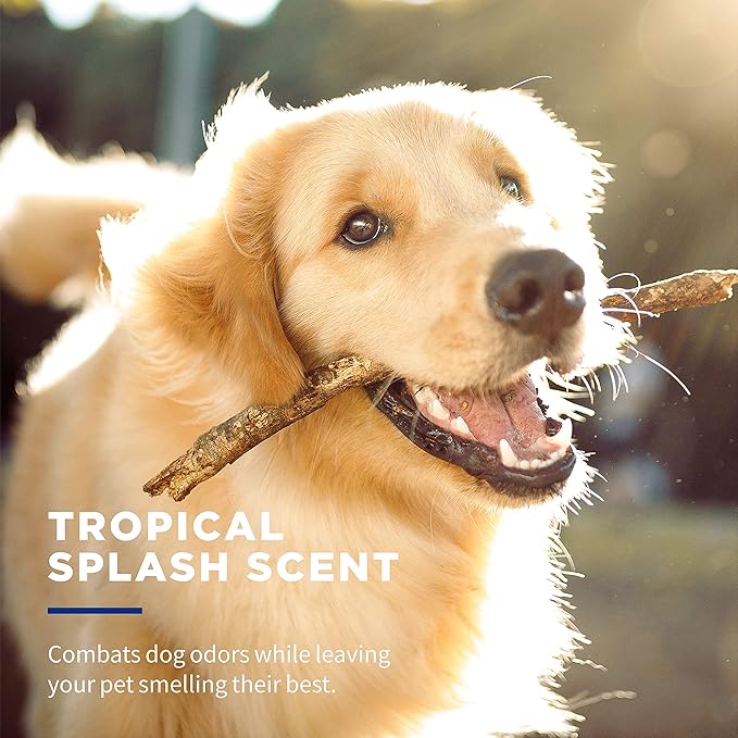 Wet Ones for Pets Desmellizing Multi-Purpose Dog Wipes with Baking Soda Dog Desmellizing Wipes for All Dogs in Tropical Splash Scent, Wet Ones Wipes for Desmellizing Dogs (Pack of 12,1200 Count Total)